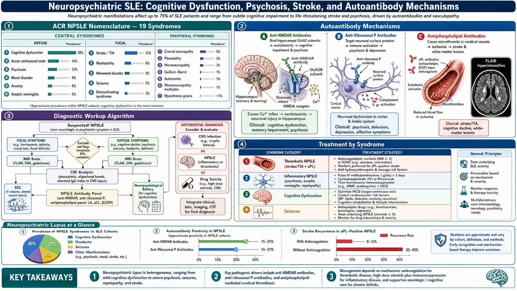 Neuropsychiatric Lupus — scientific infographic poster