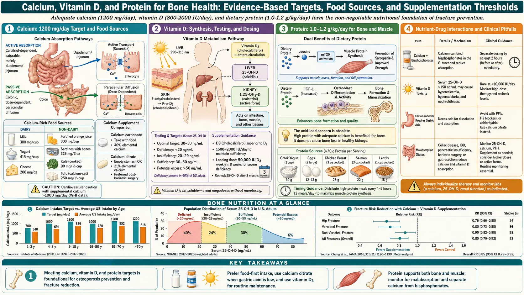 Calcium Vitamin D and Protein Intake — scientific infographic poster