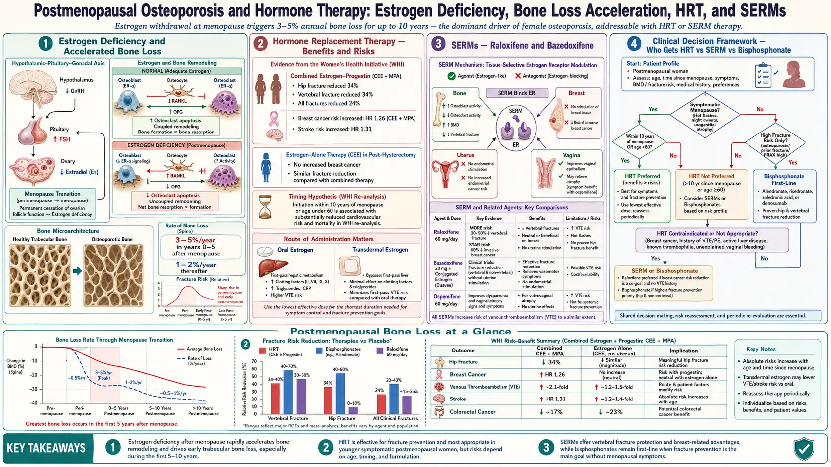 Postmenopausal Osteoporosis and Hormone Therapy — scientific infographic poster