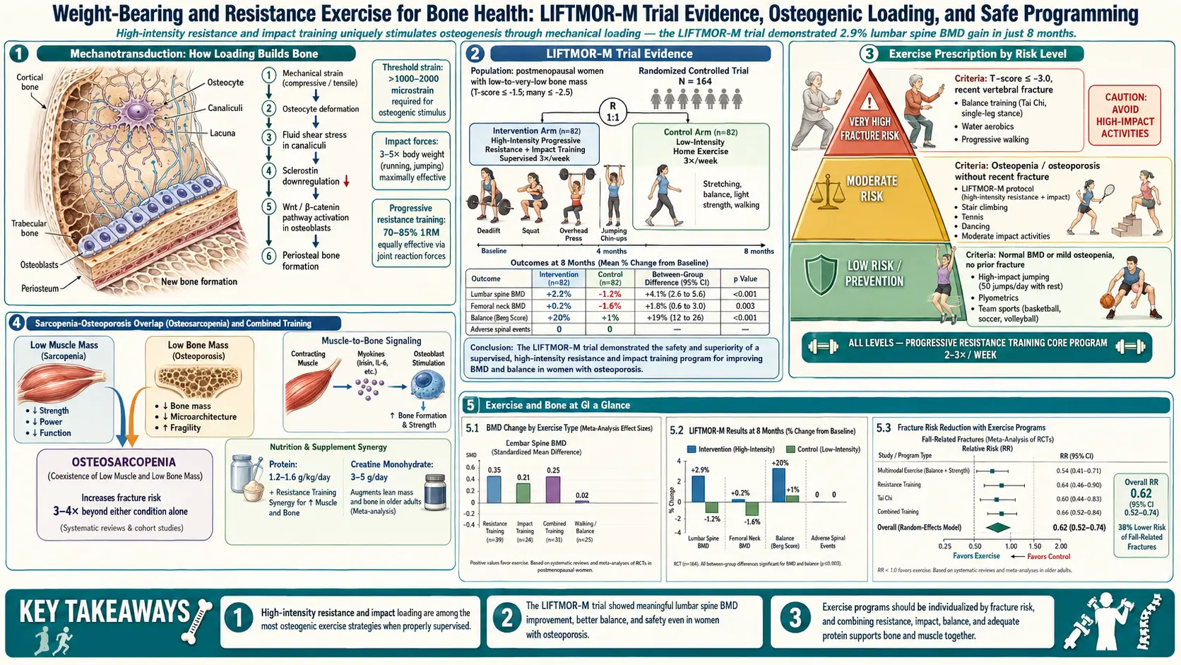 Weight Bearing and Resistance Exercise — scientific infographic poster
