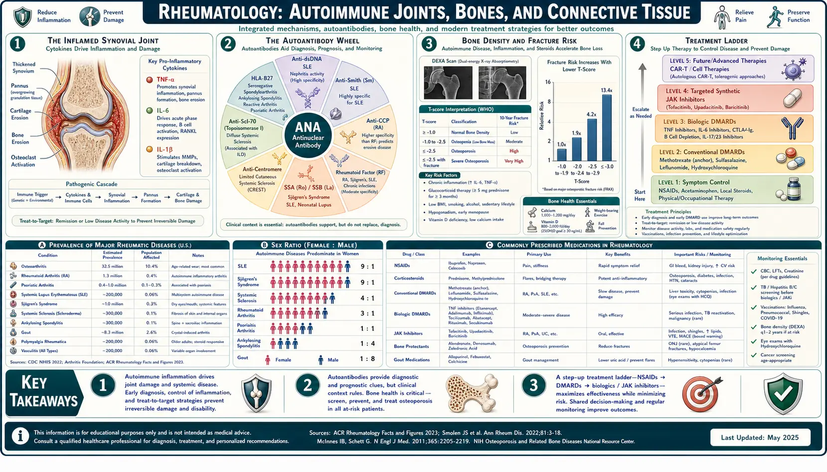 Rheumatology — scientific infographic poster