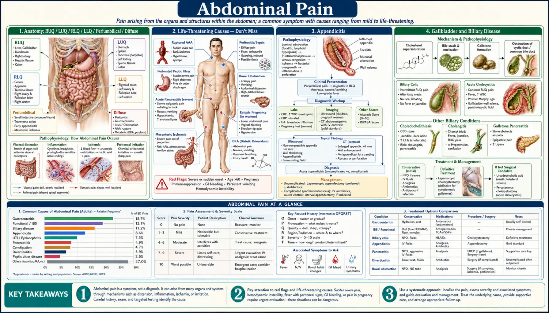 Abdominal Pain — scientific infographic poster