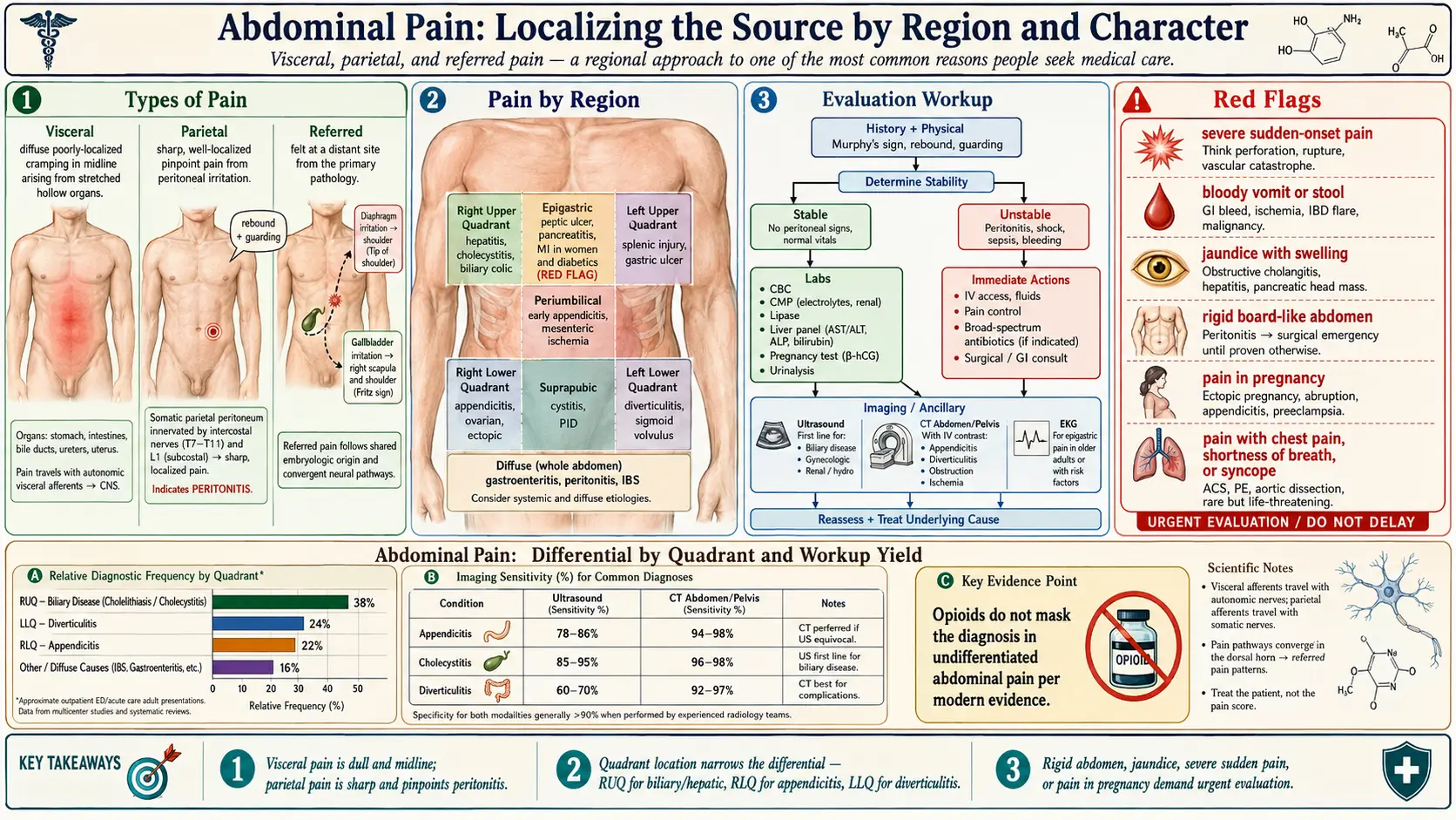 Abdominal Pain — scientific infographic poster