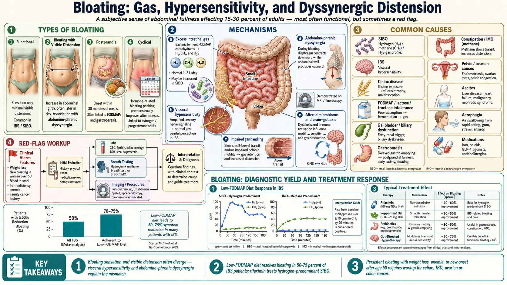 Bloating — scientific infographic poster