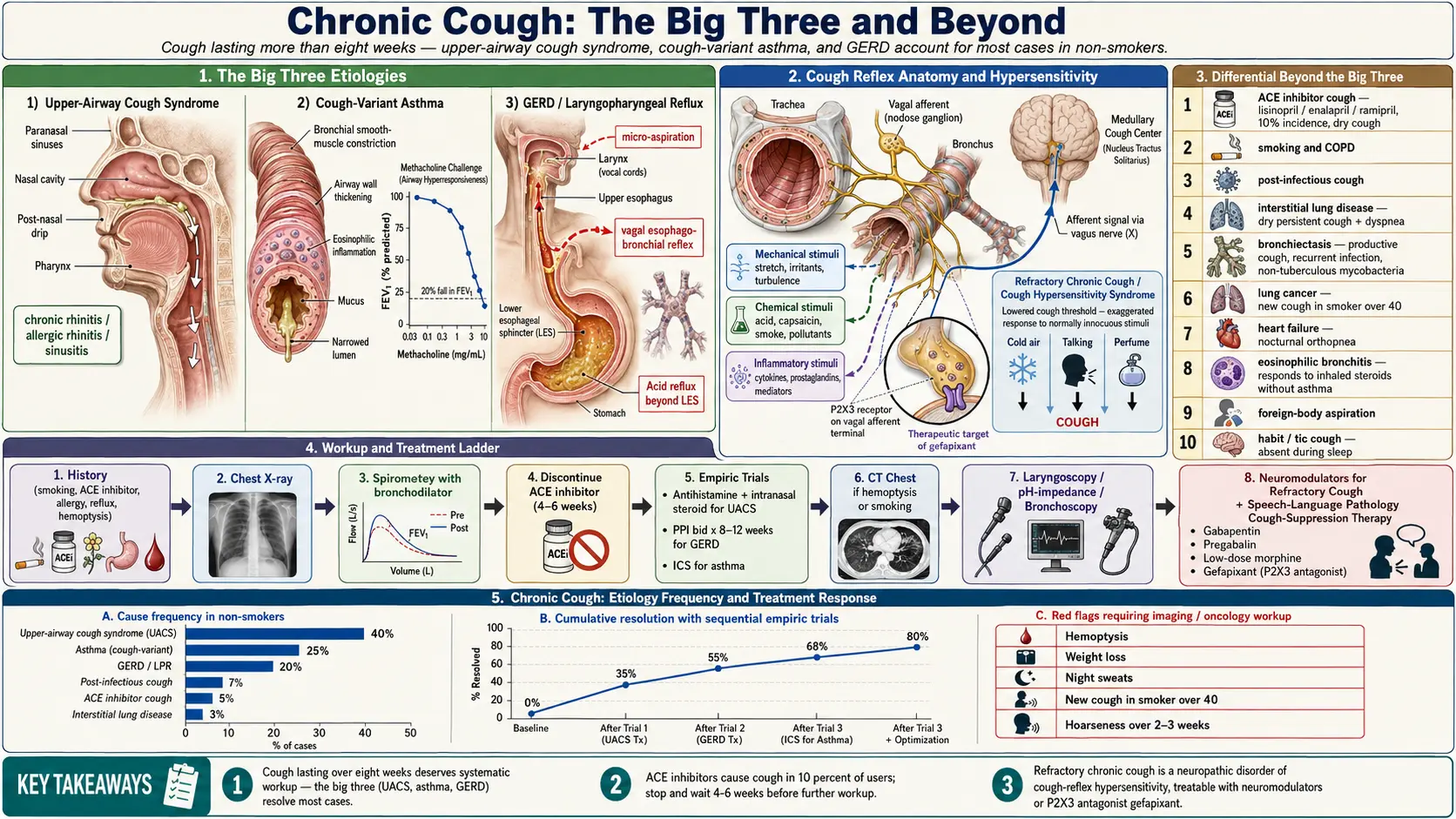 Chronic Cough — scientific infographic poster