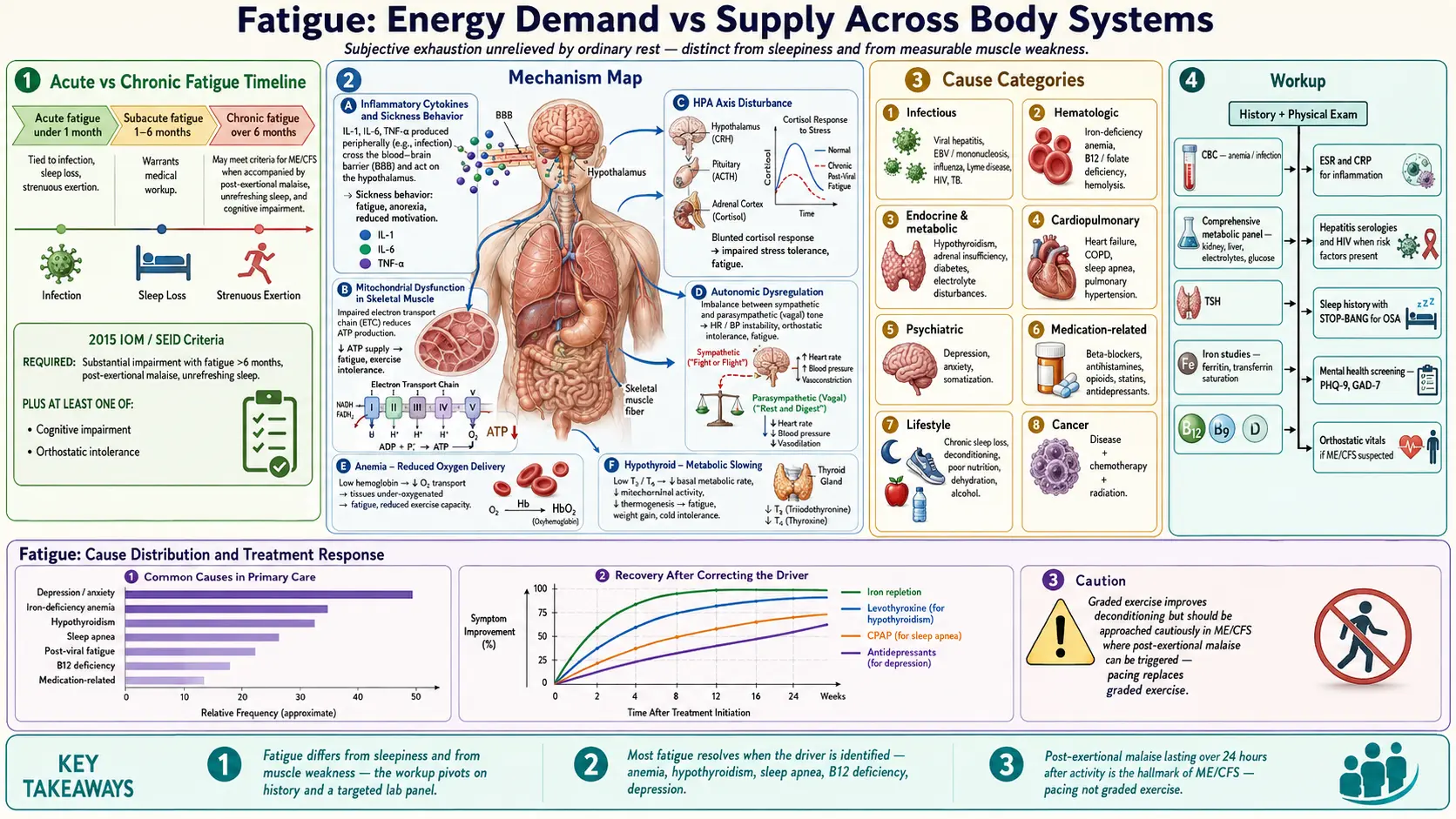 Fatigue — scientific infographic poster