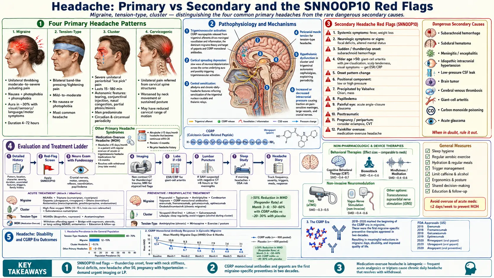 Headache — scientific infographic poster