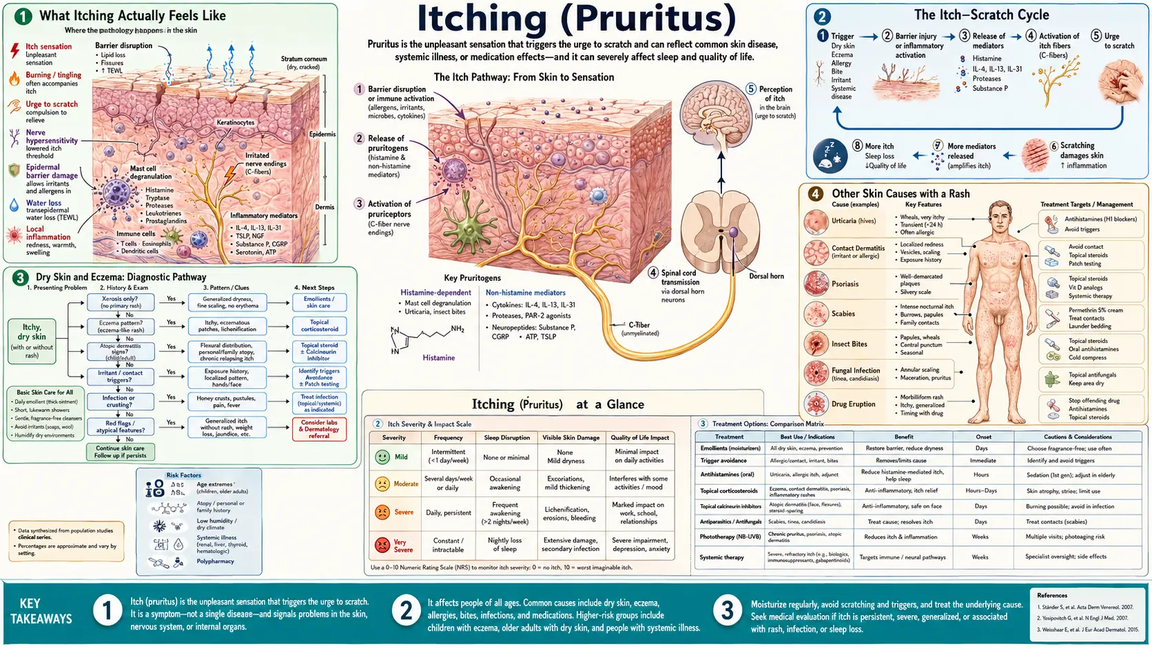 Itching — scientific infographic poster