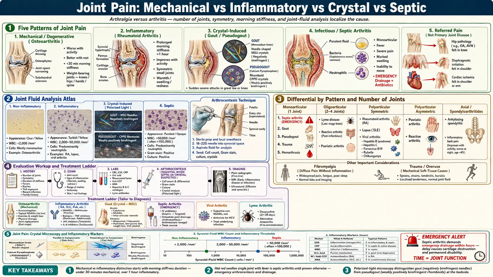 Joint Pain — scientific infographic poster