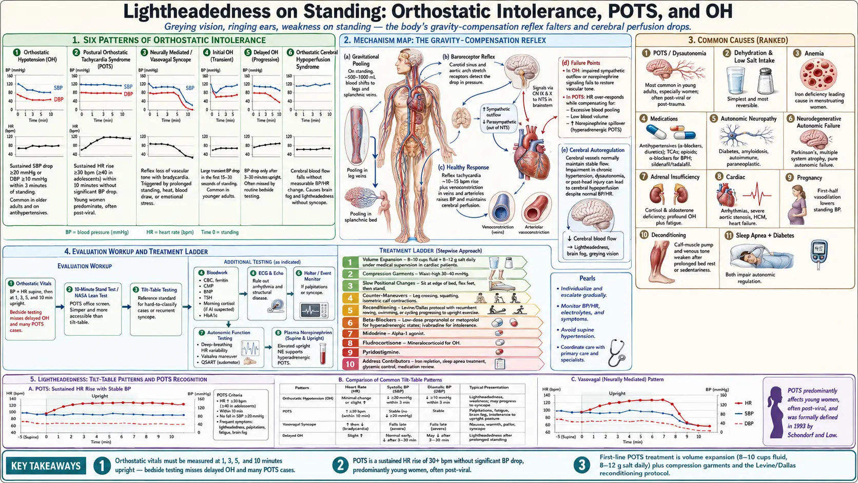 Lightheadedness — scientific infographic poster