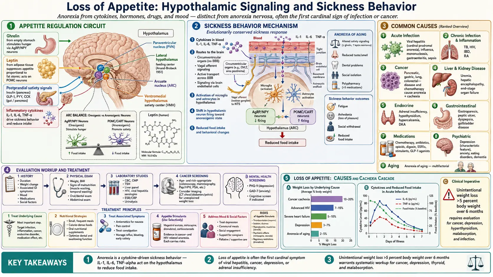Loss Of Appetite — scientific infographic poster