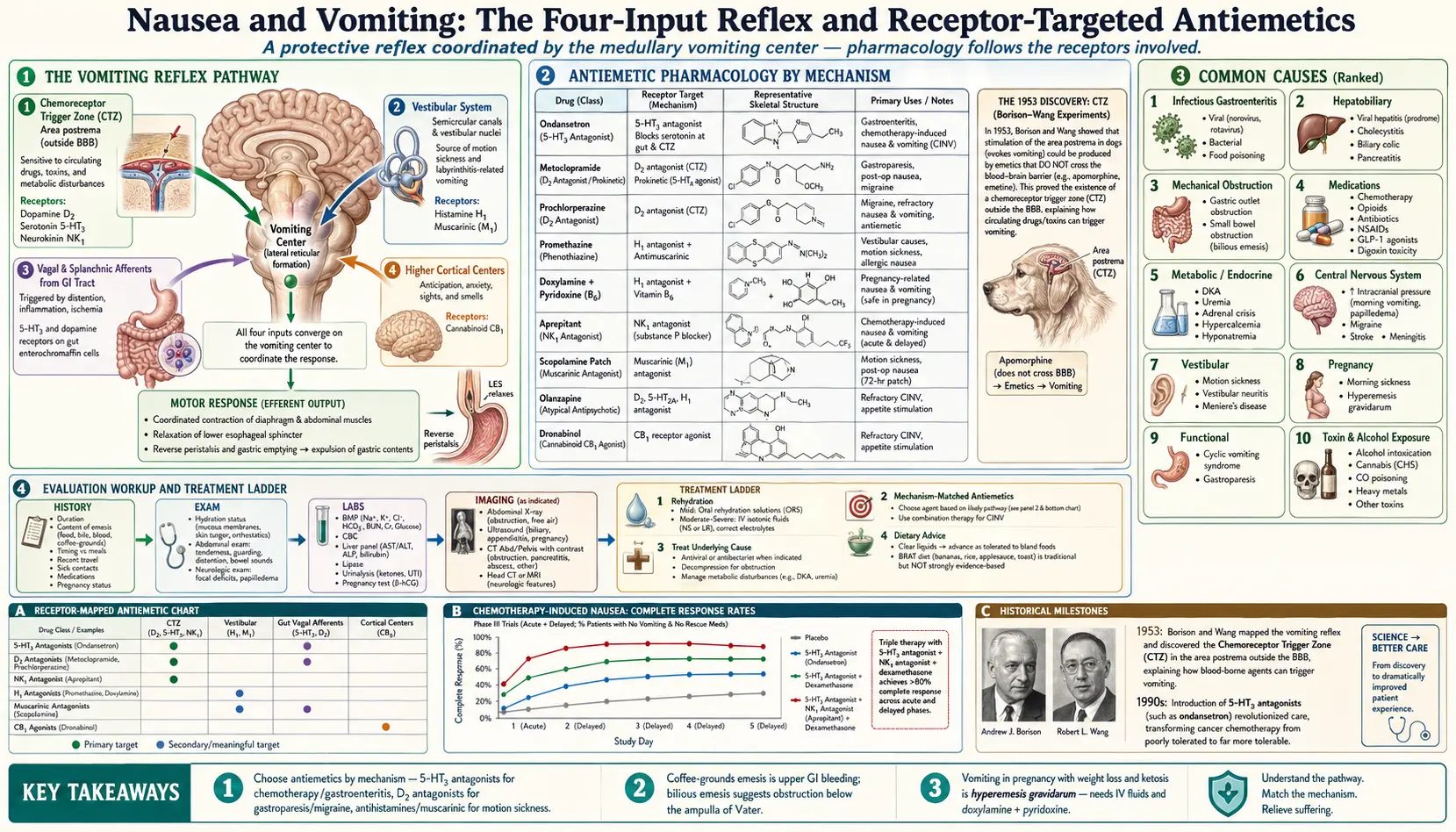 Nausea Vomiting — scientific infographic poster
