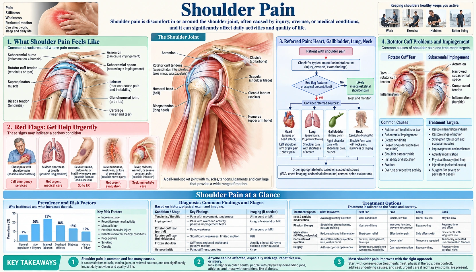Shoulder Pain — scientific infographic poster