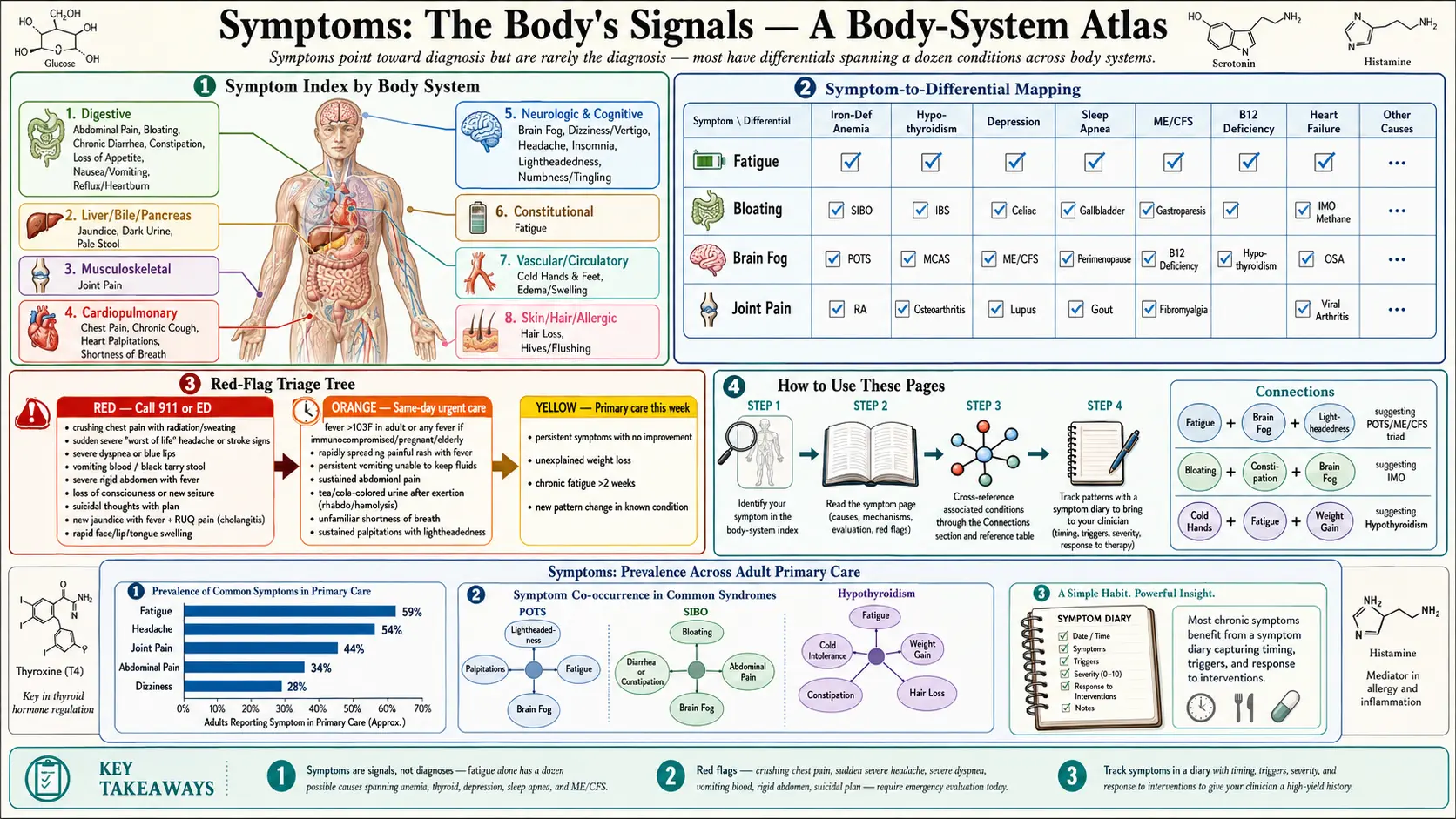 Symptoms — scientific infographic poster