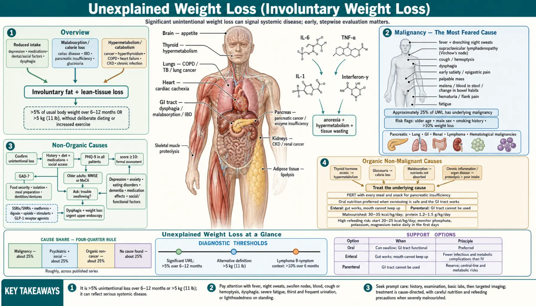 Unexplained Weight Loss — scientific infographic poster