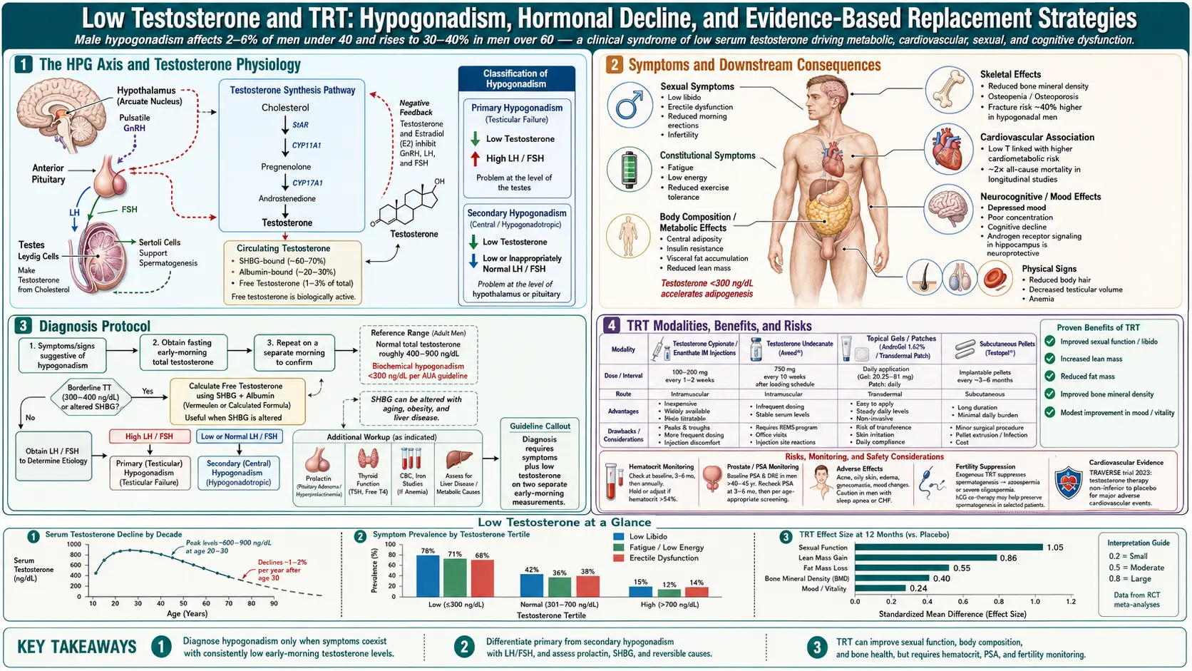 Low Testosterone TRT — scientific infographic poster