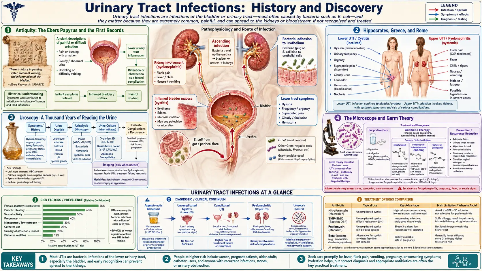 History — scientific infographic poster