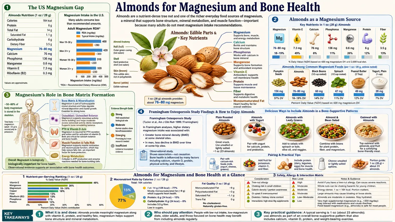 Magnesium and Bone — scientific infographic poster