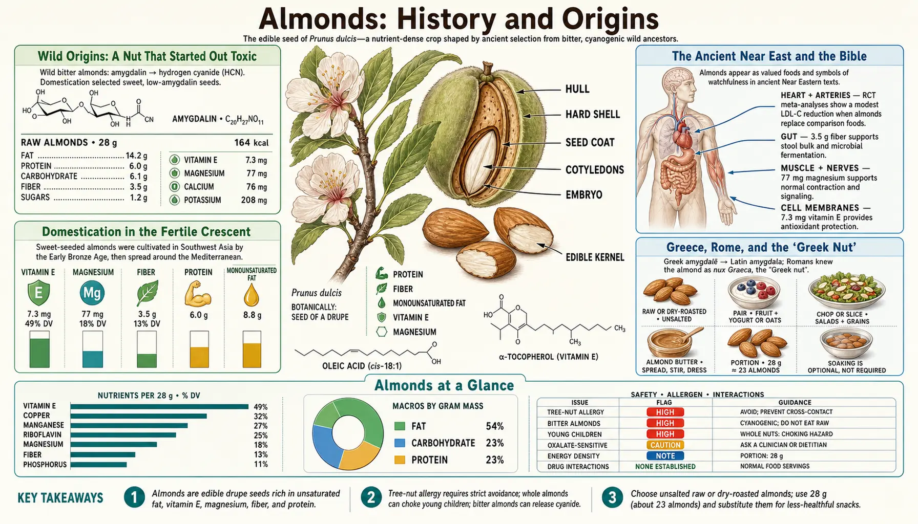 History — scientific infographic poster