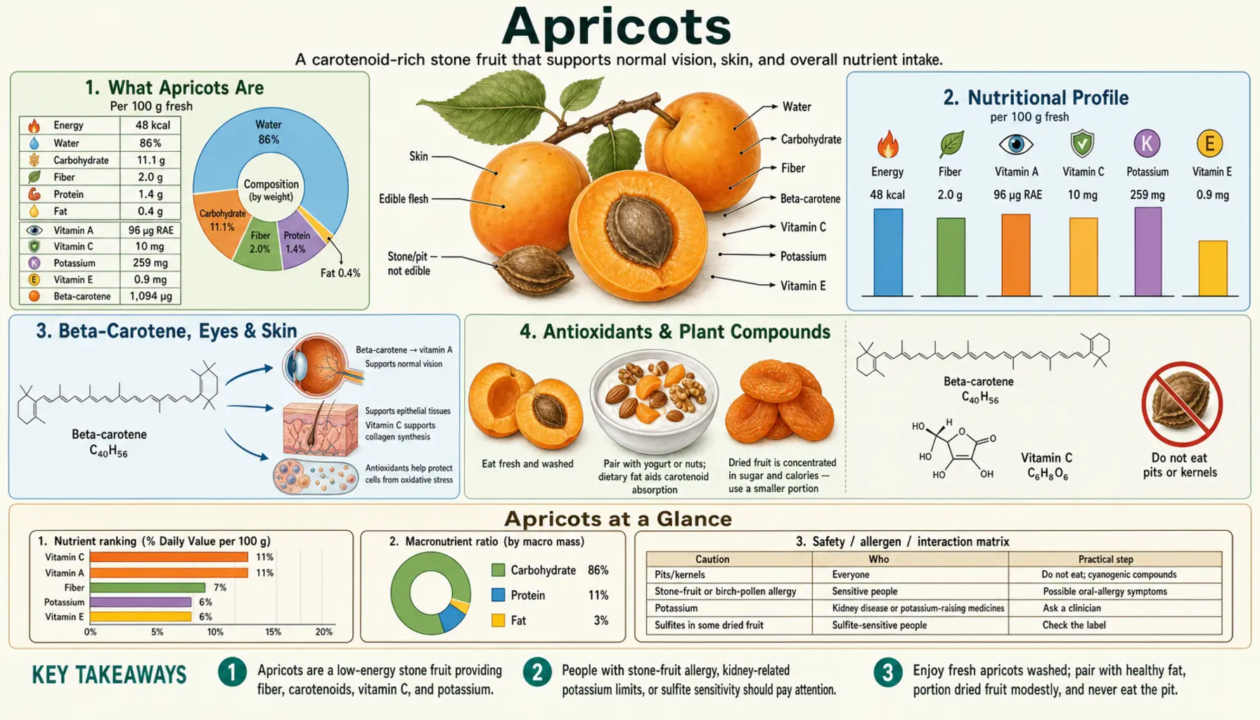 Apricots — scientific infographic poster
