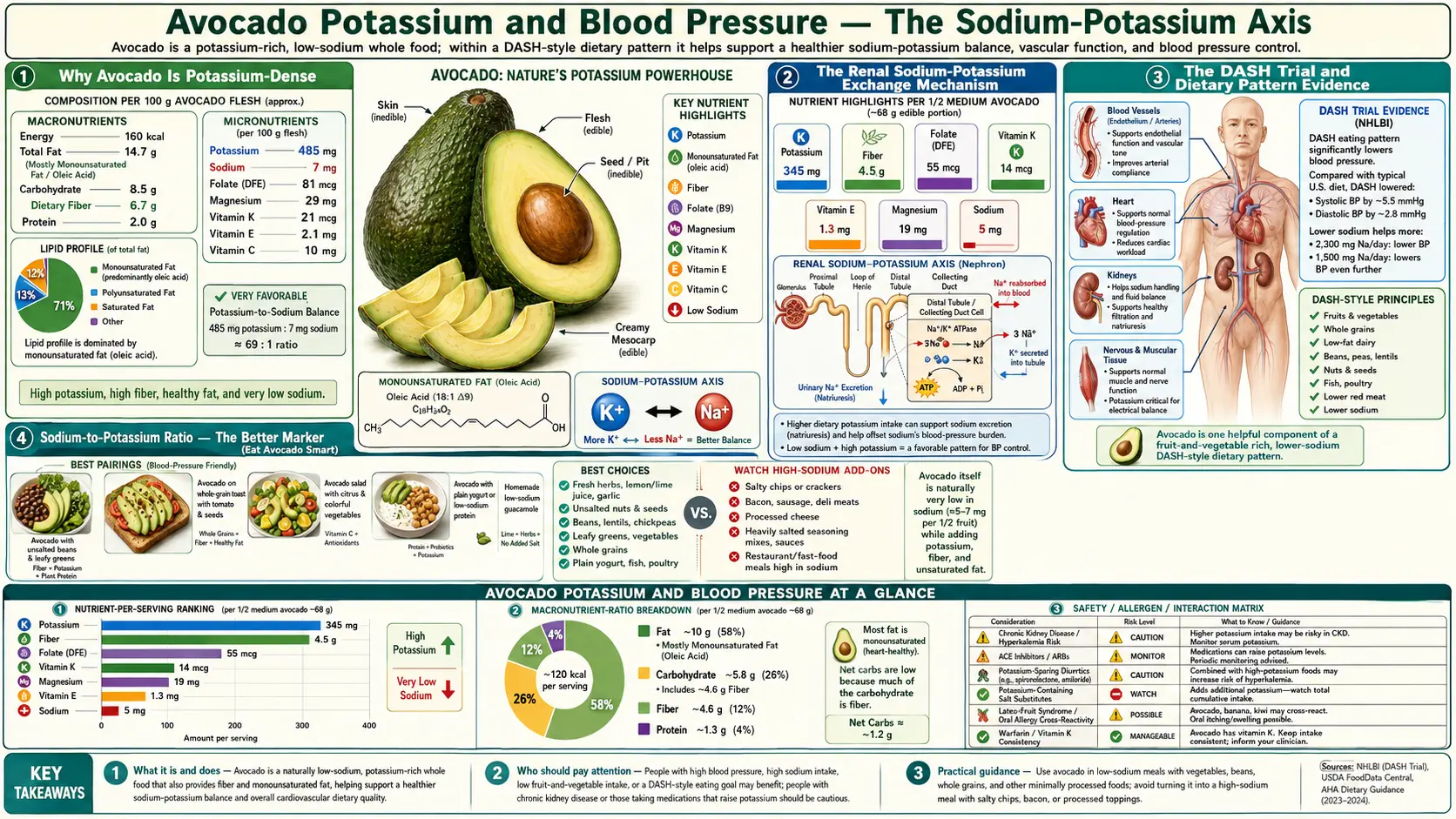 Potassium and Blood Pressure — scientific infographic poster
