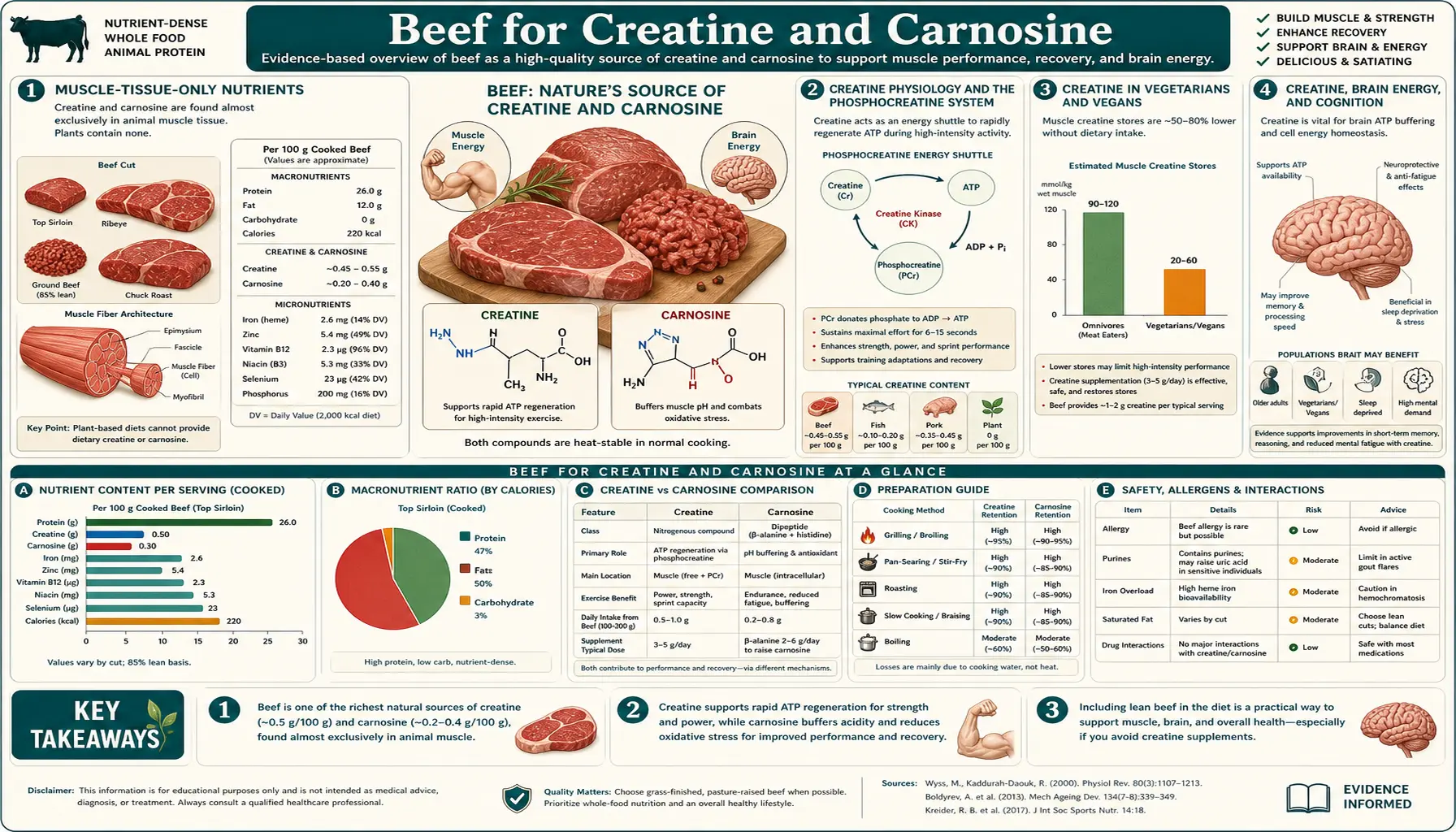 Creatine and Carnosine — scientific infographic poster