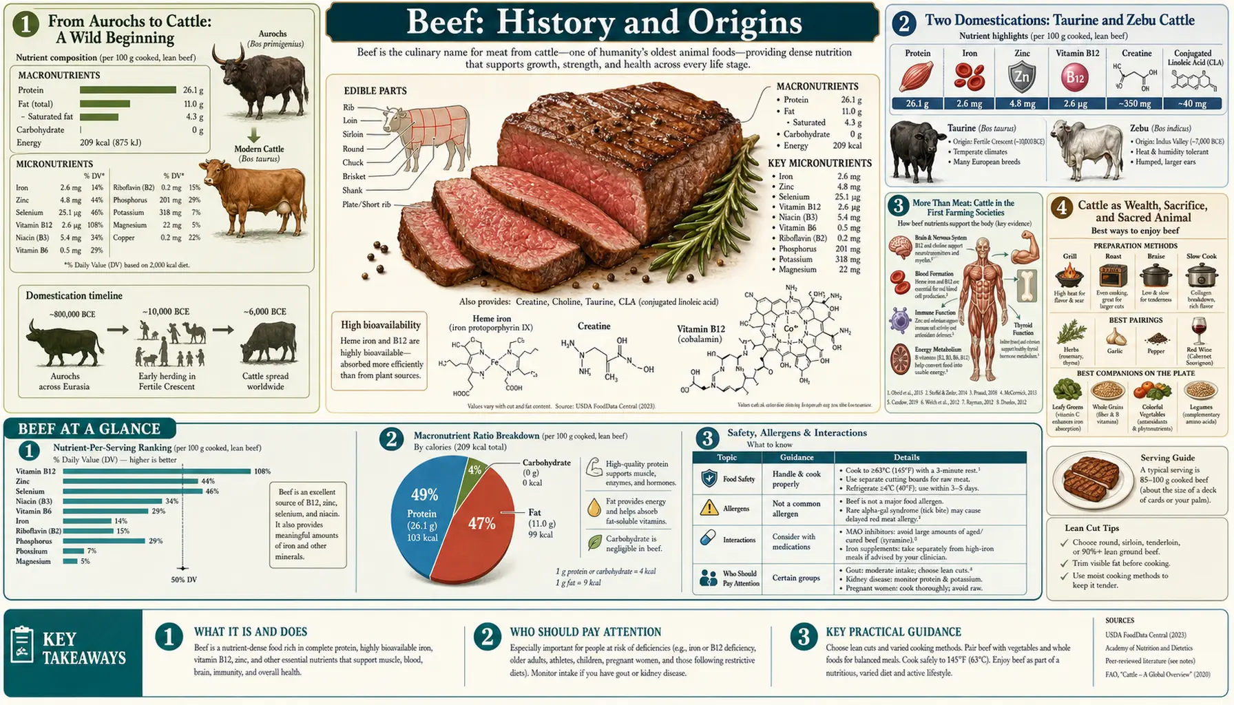 History — scientific infographic poster