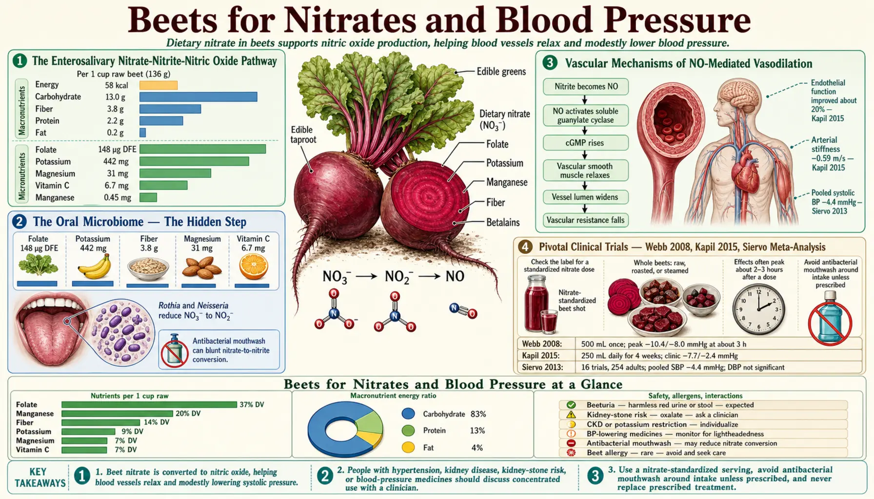 Nitrates and Blood Pressure — scientific infographic poster