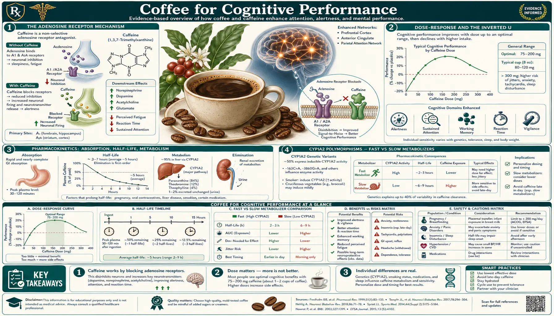 Cognitive Performance — scientific infographic poster