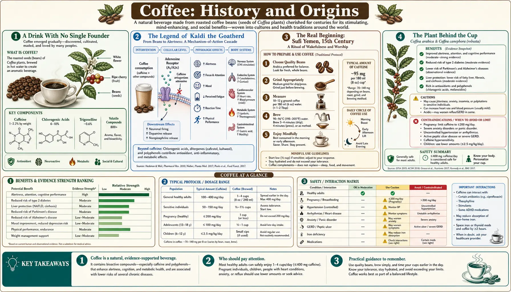 History — scientific infographic poster