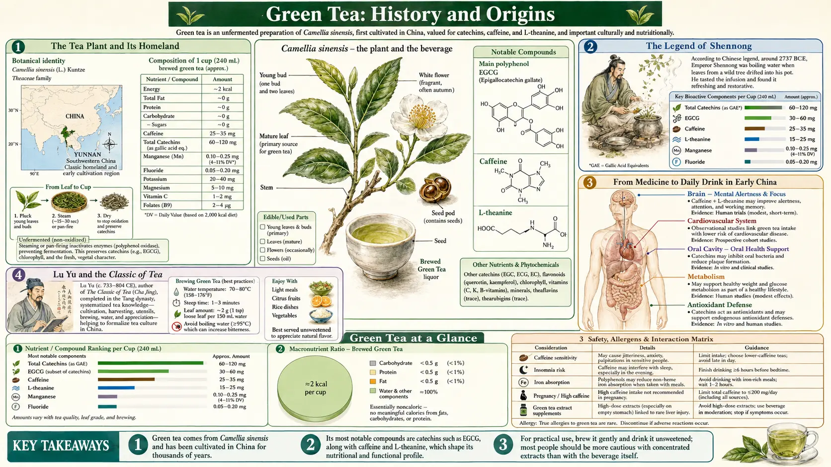 History — scientific infographic poster