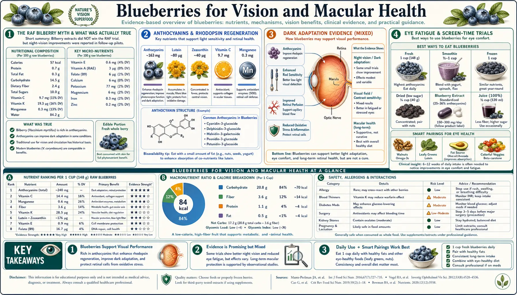 Vision and Macula — scientific infographic poster