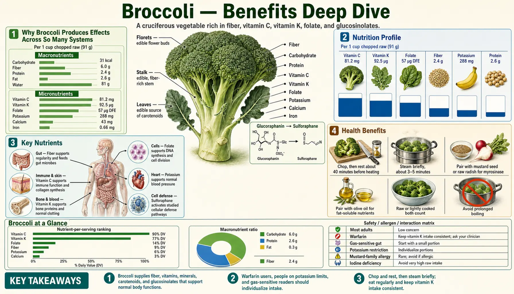 Benefits — scientific infographic poster