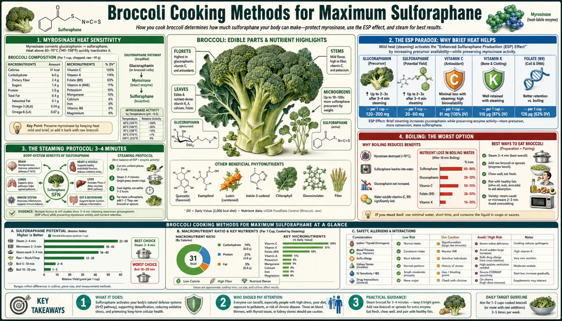 Cooking Methods — scientific infographic poster