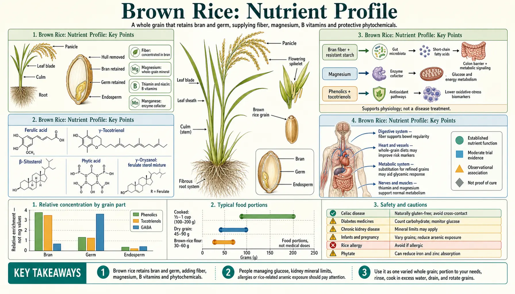 Nutrients — scientific infographic poster