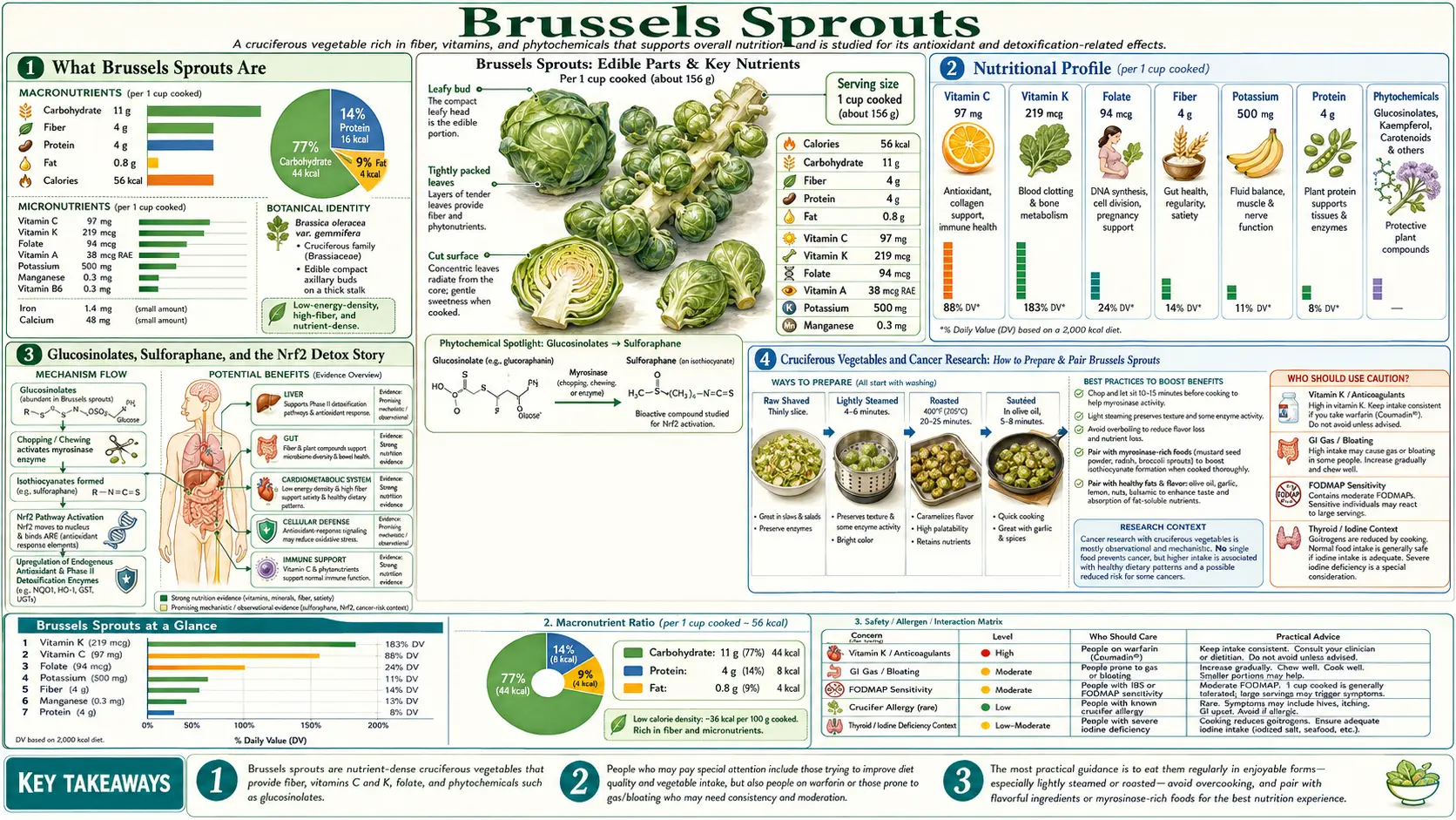 Brussels Sprouts — scientific infographic poster