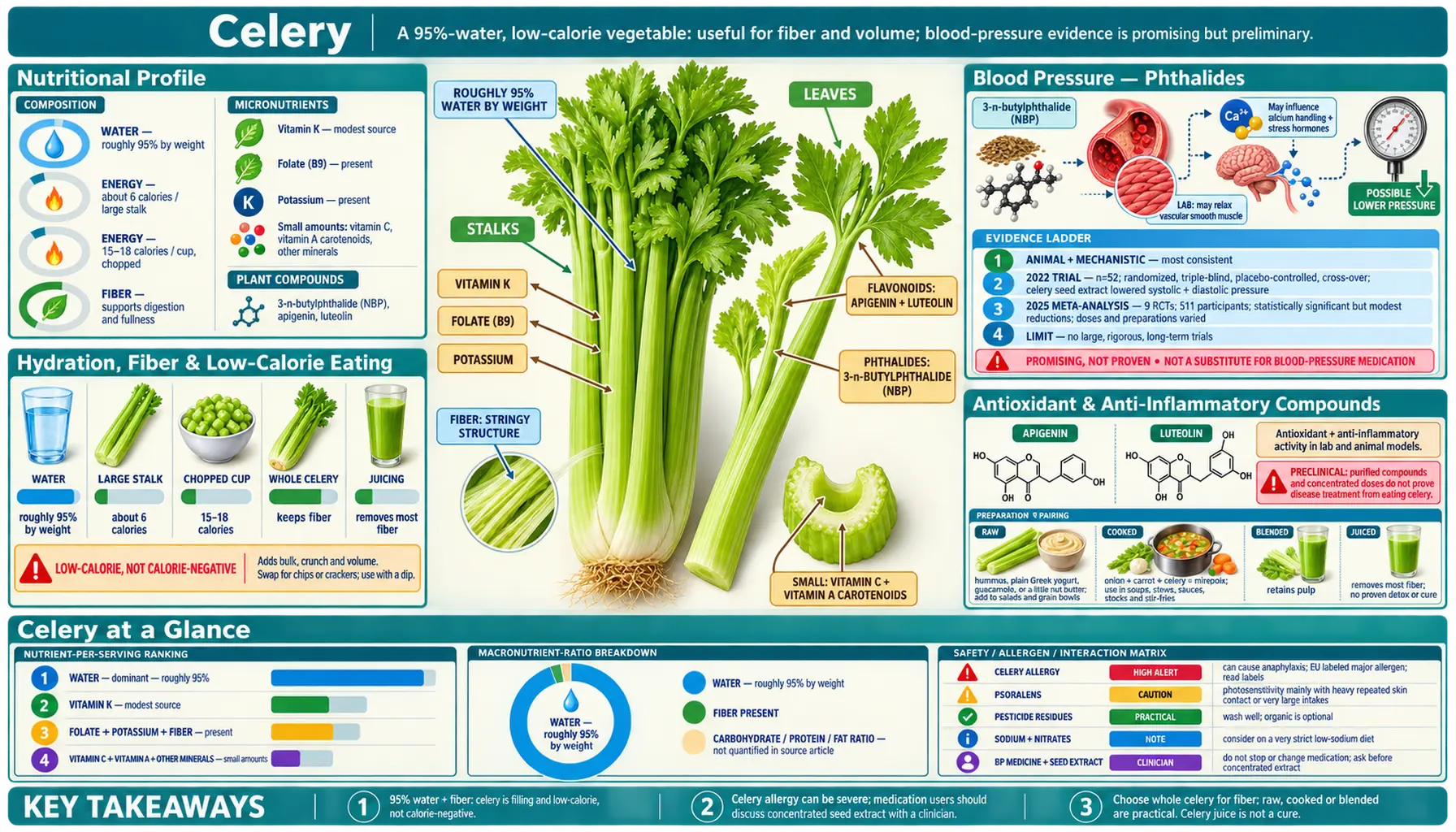 Celery — scientific infographic poster