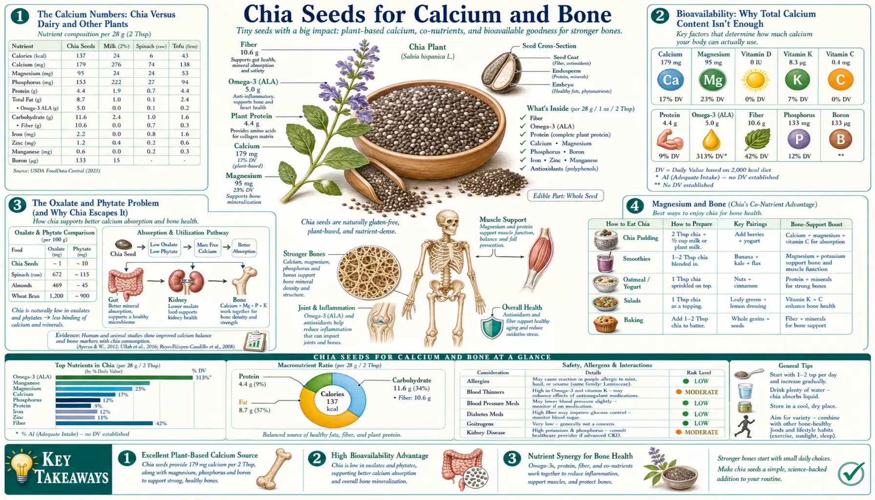 Calcium and Bone — scientific infographic poster