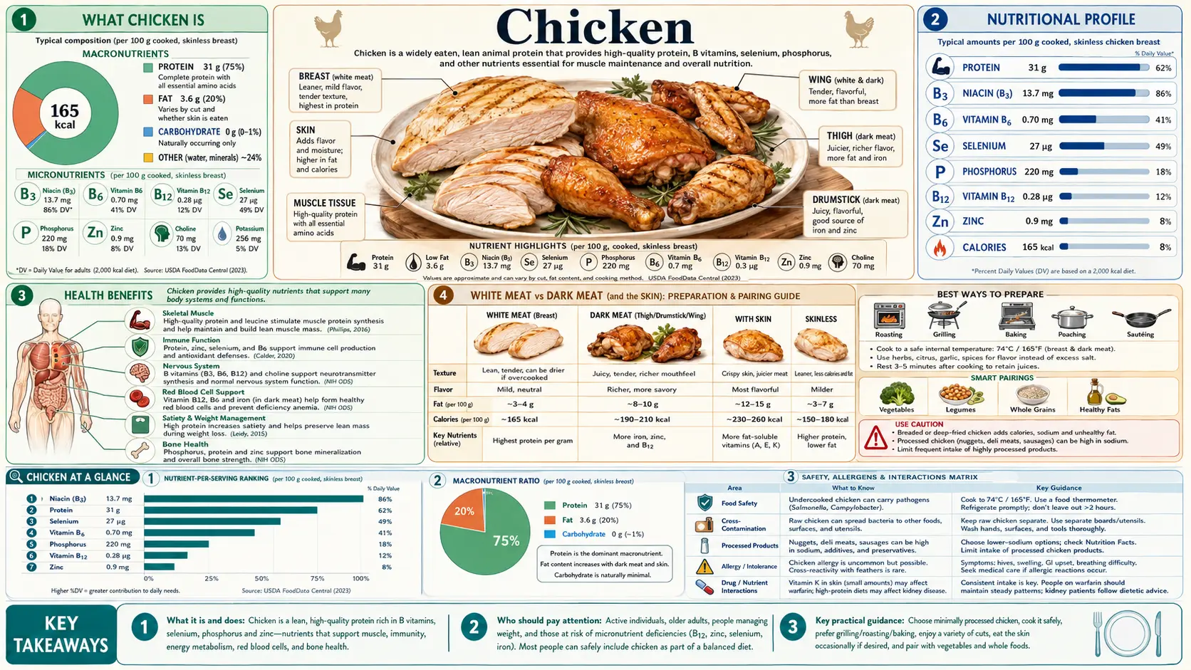 Chicken — scientific infographic poster