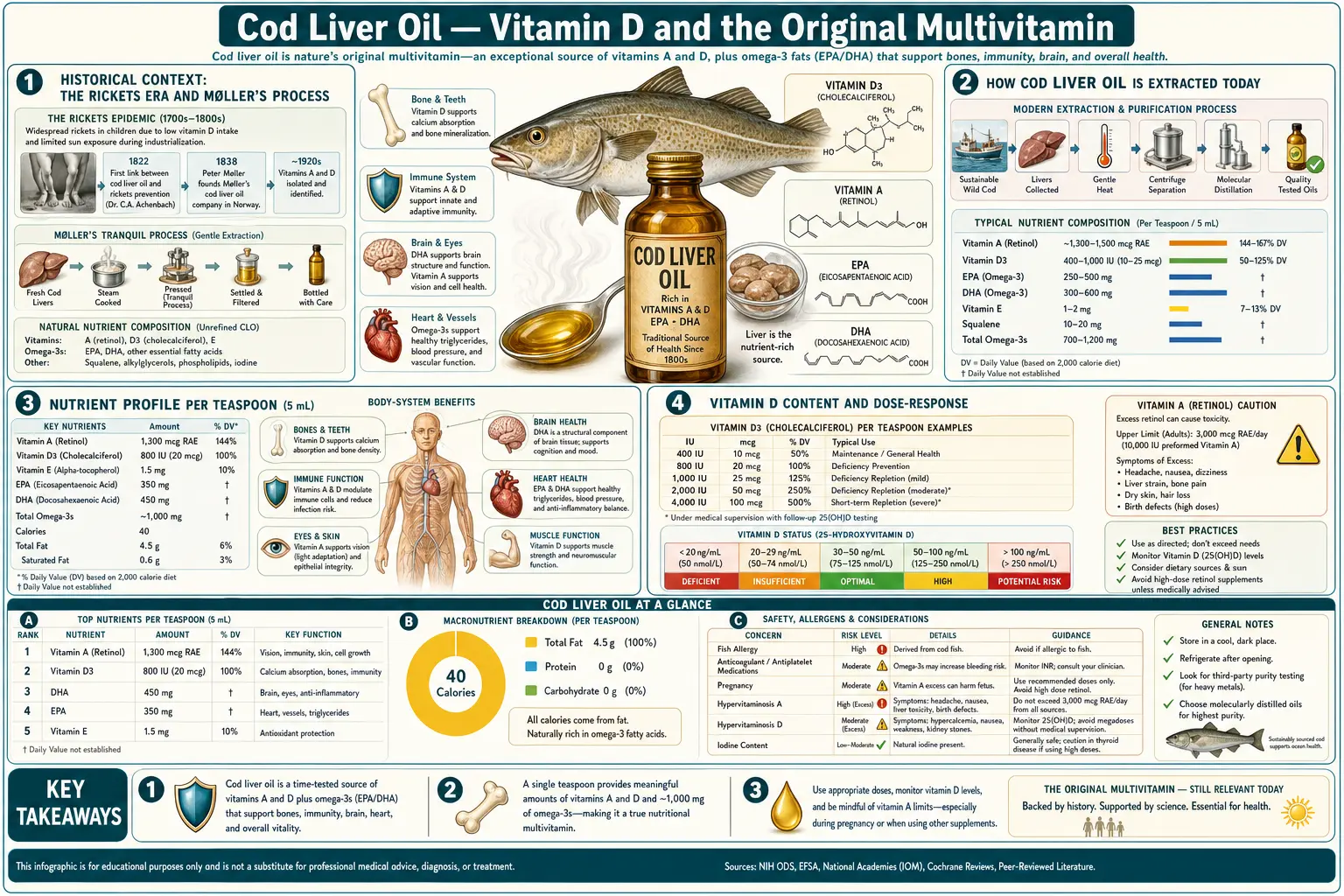 Vitamin D and Liver Oil — scientific infographic poster