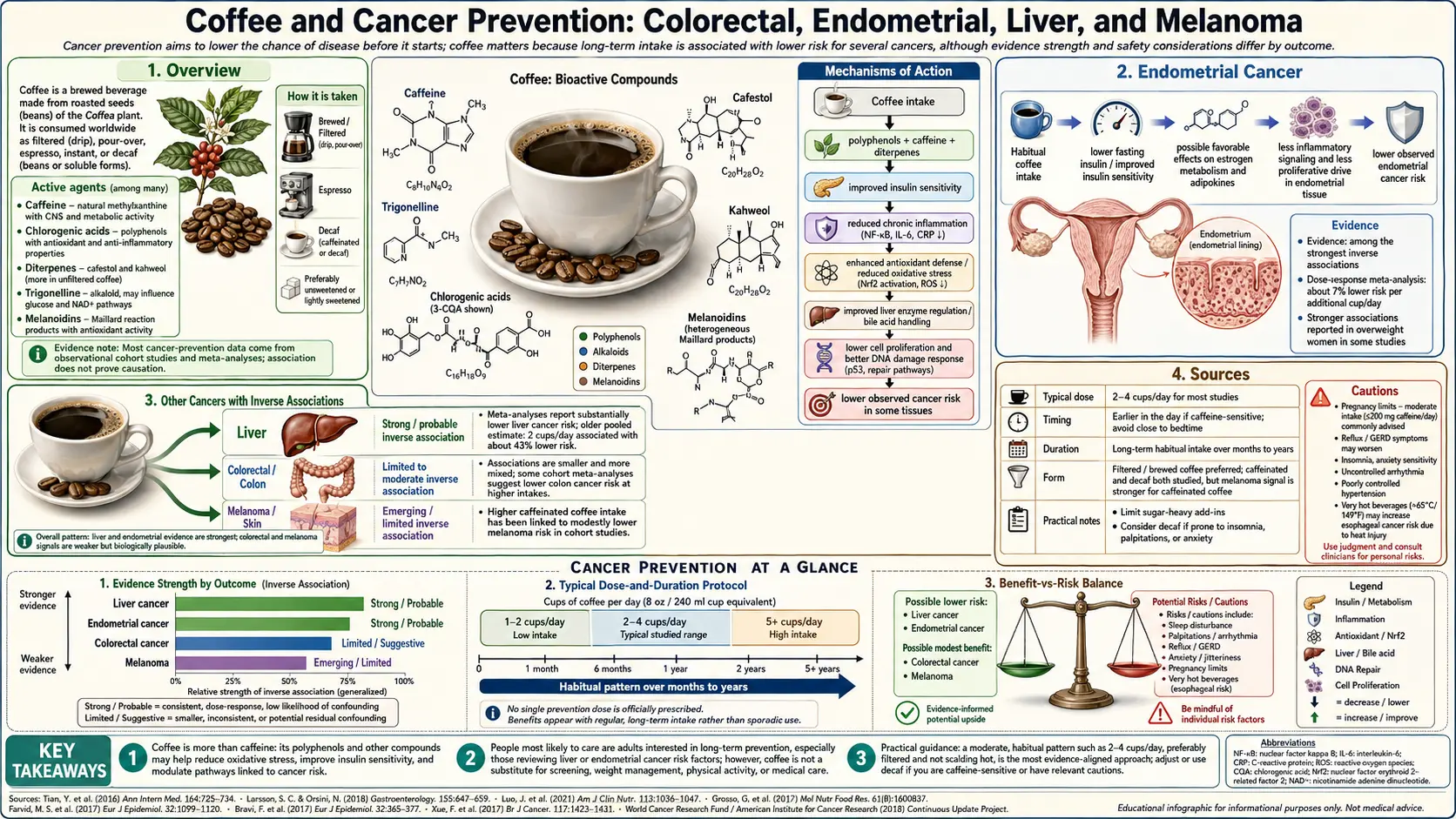 Cancer Prevention — scientific infographic poster