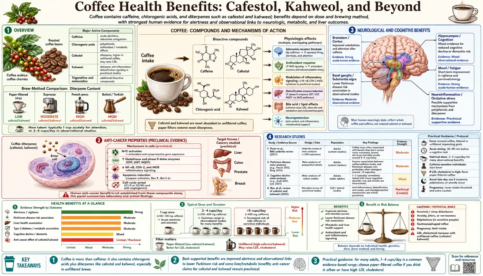 Health Benefits — scientific infographic poster