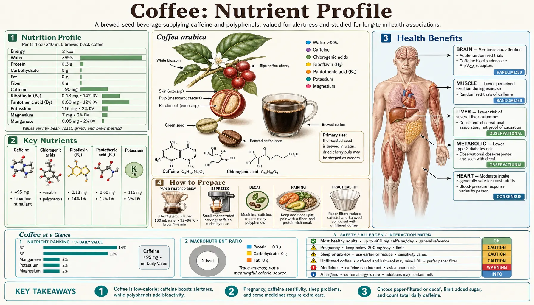 Nutrients — scientific infographic poster