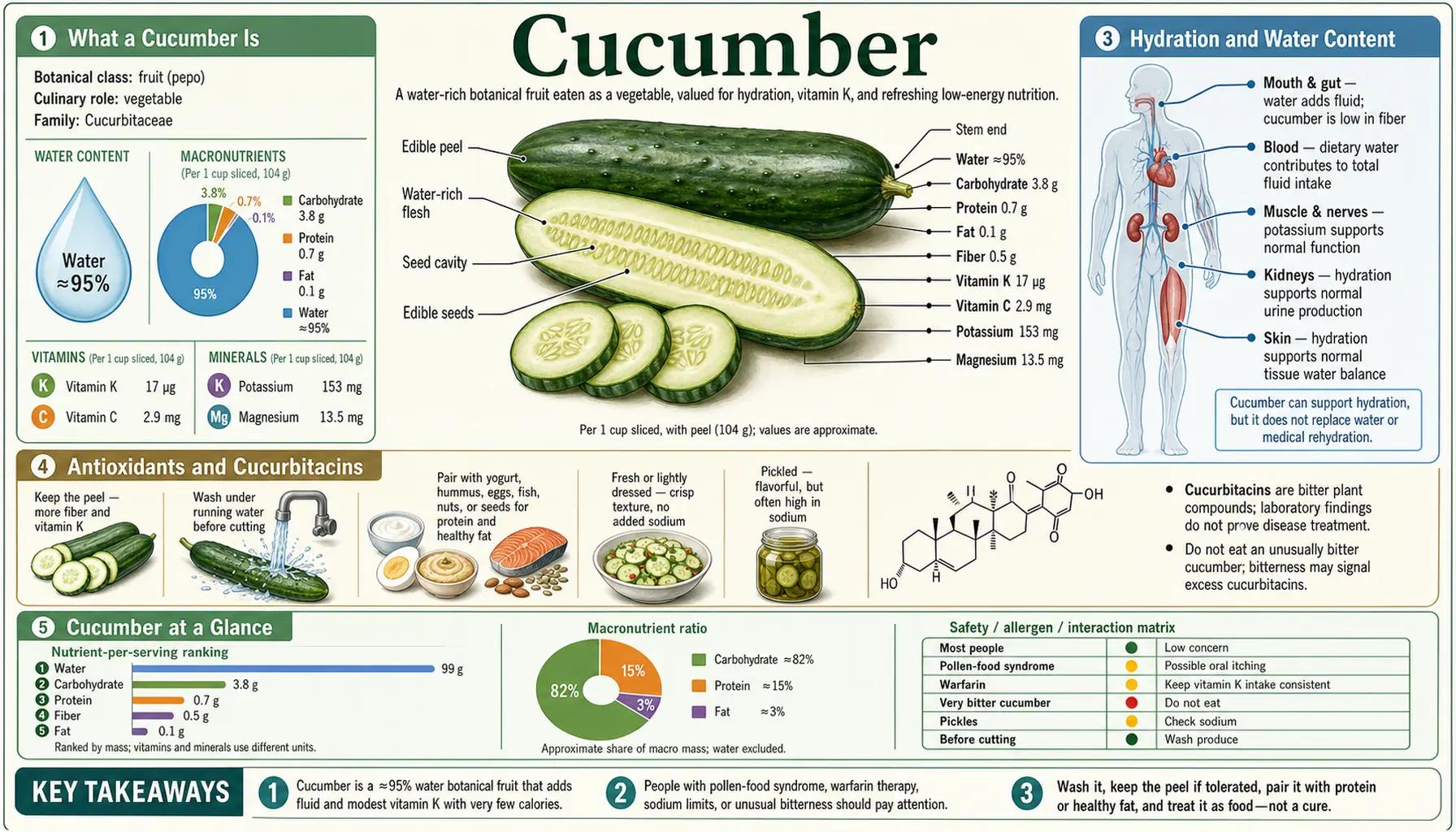 Cucumber — scientific infographic poster