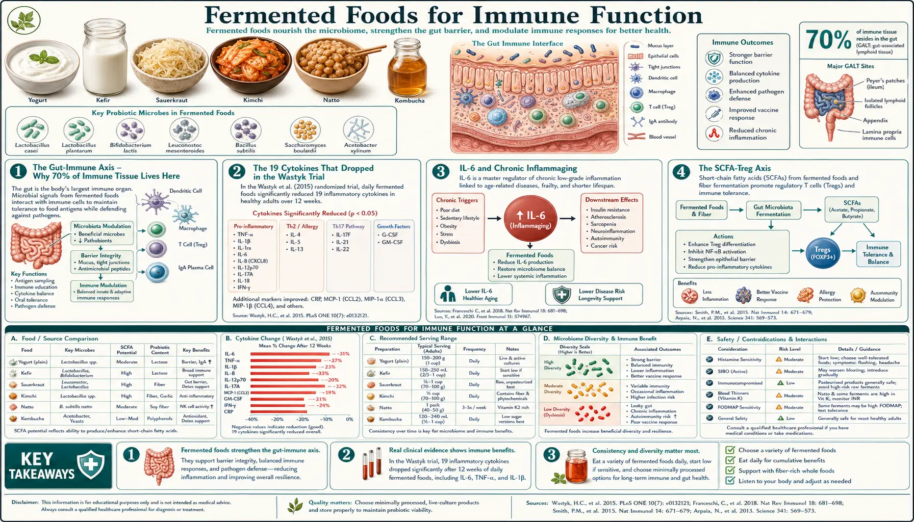 Immune Function — scientific infographic poster