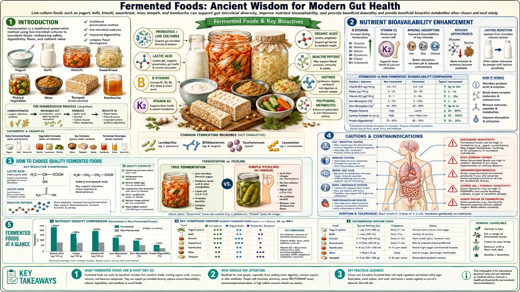 Fermented Foods — scientific infographic poster