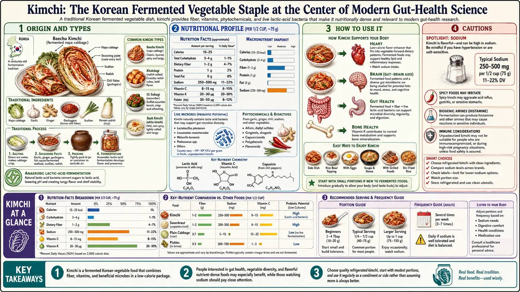 Kimchi — scientific infographic poster