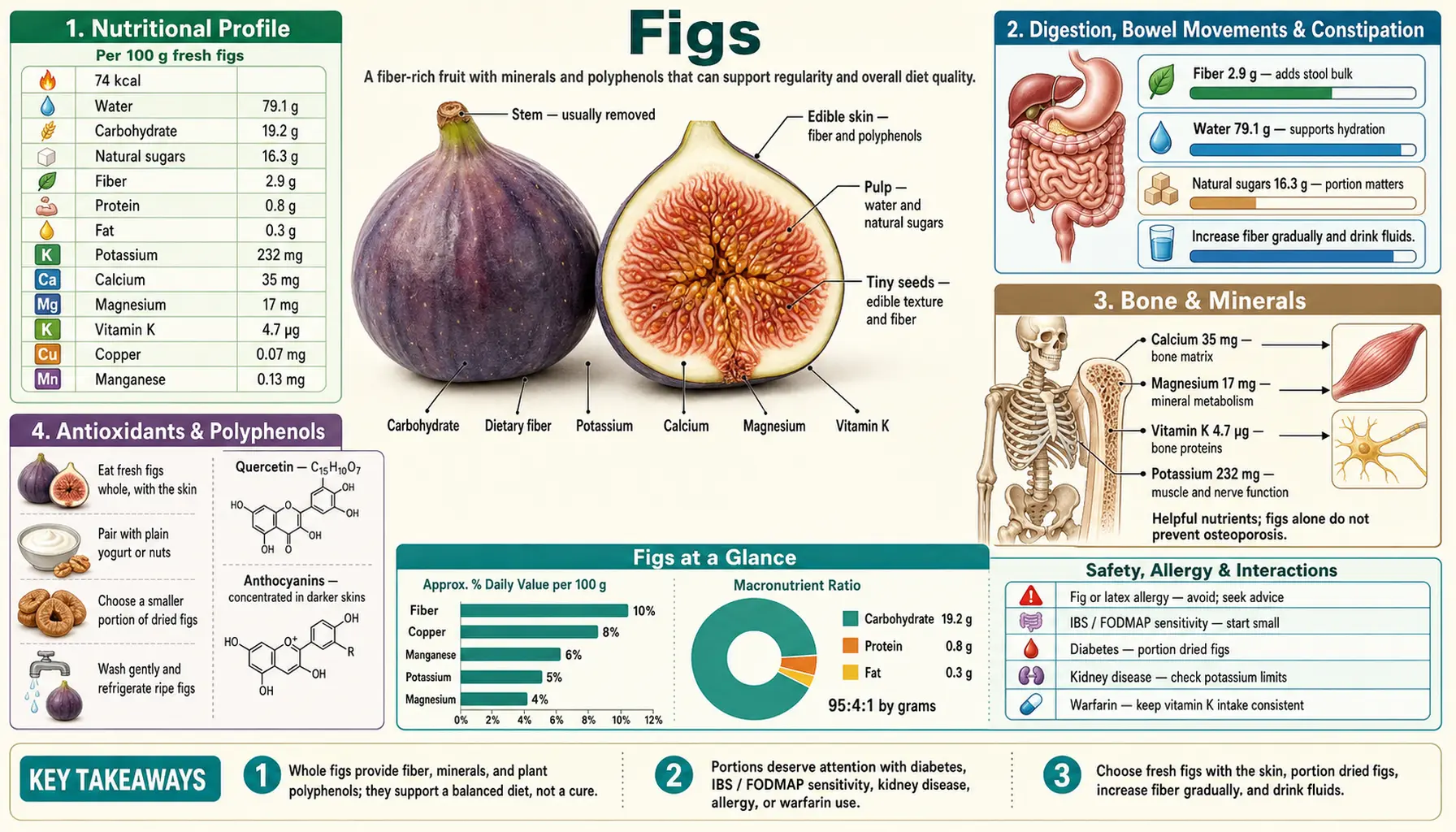 Figs — scientific infographic poster