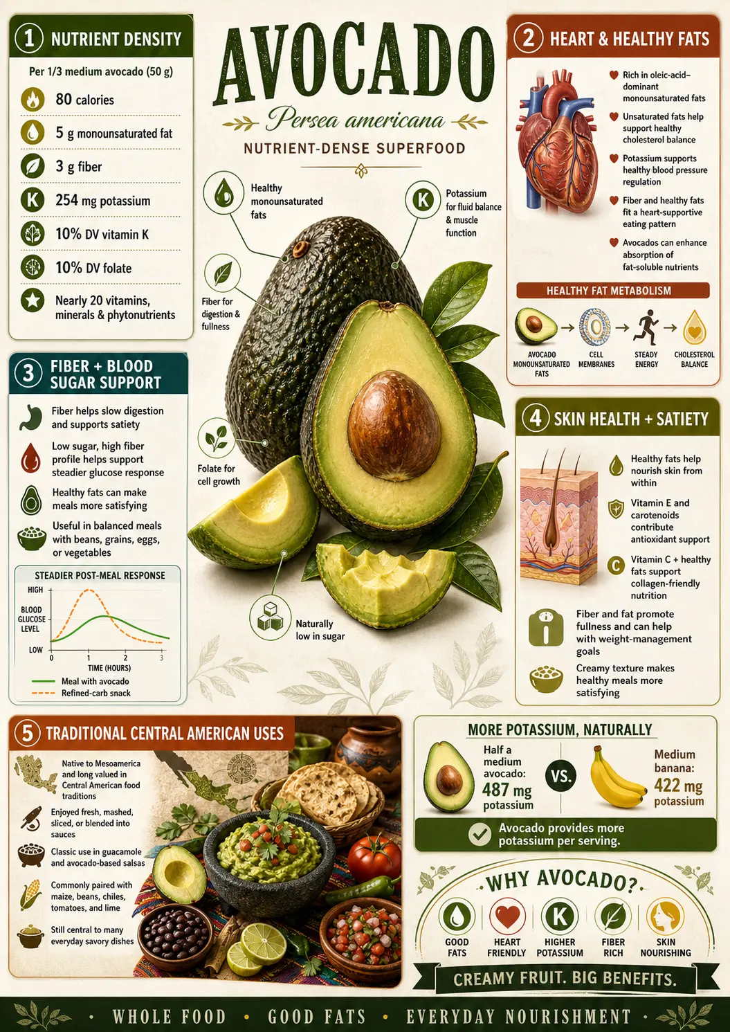 Avocado