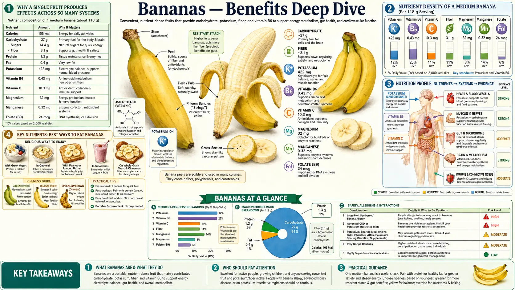 Benefits — scientific infographic poster